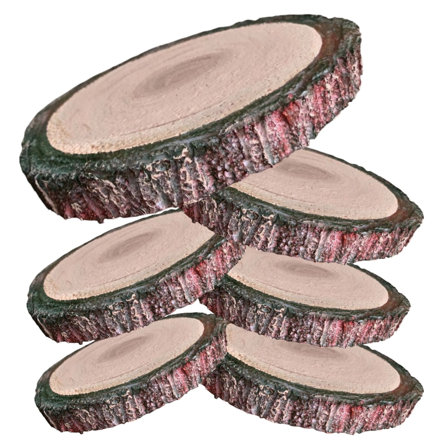 Set of 6 Foam Porkchop Bases for Centerpieces – Durable and Stylish Foundation